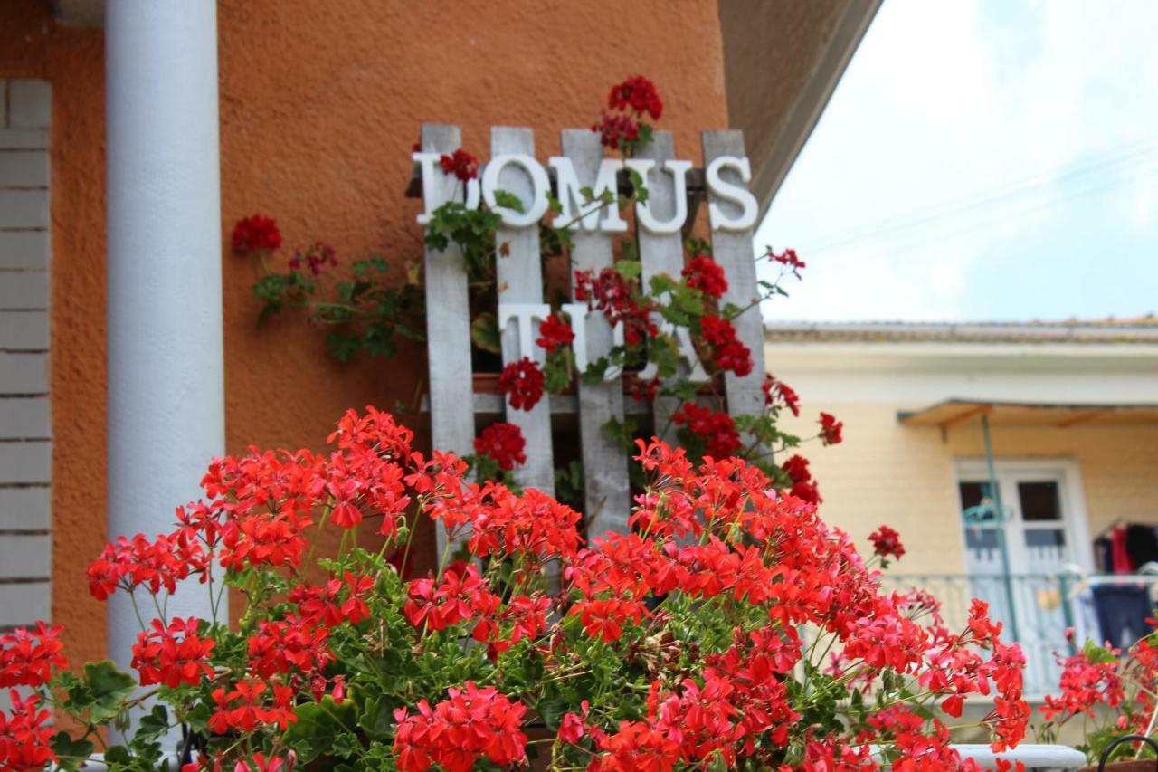 Domus Tua Bed & Breakfast Pietrelcina Luaran gambar
